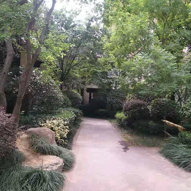 別墅綠化施工設計及養護